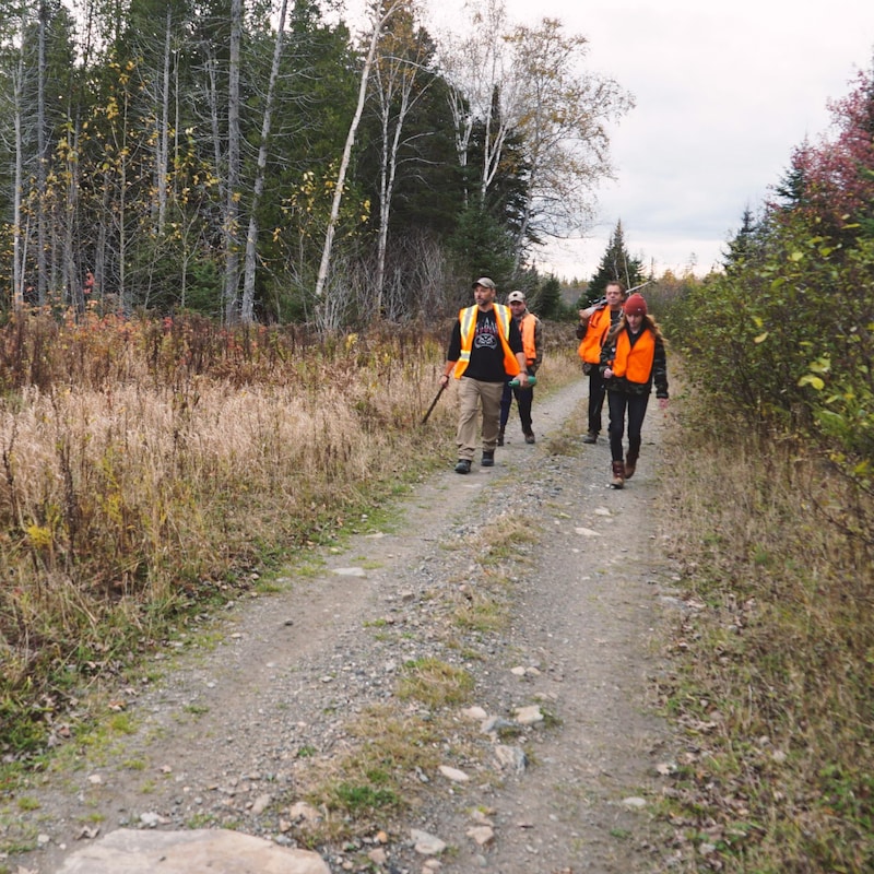 Arme à la main, quatre chasseurs marchent sur un chemin en forêt.
