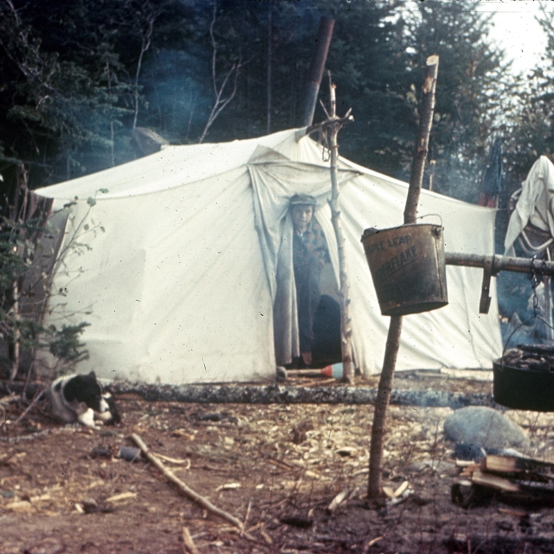 Un campement innu avec un enfant sortant la tête de la tente.