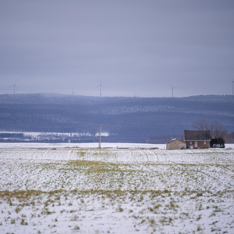 Un paysage rural avec des éoliennes au loin.