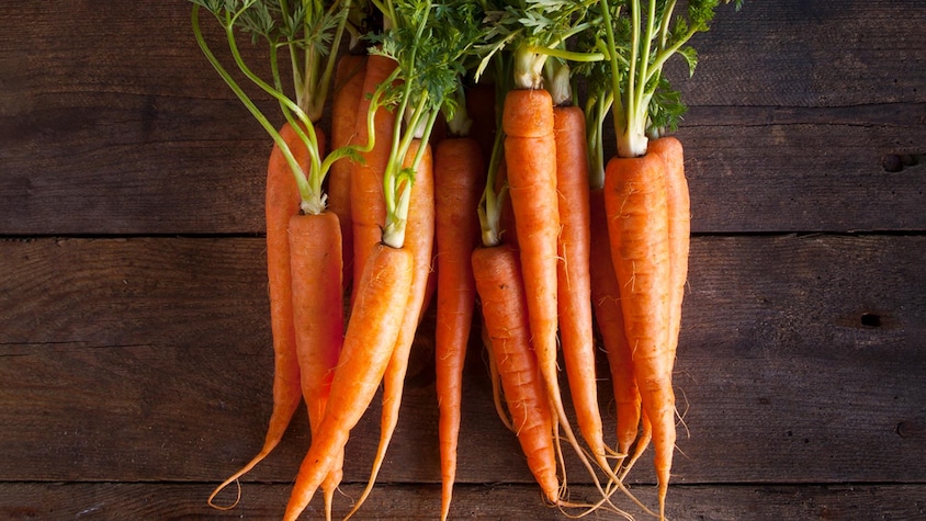 Plusieurs carottes sur une table.