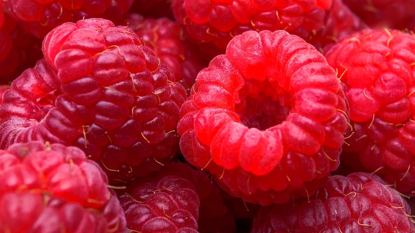Framboise - Ingrédients - Mordu