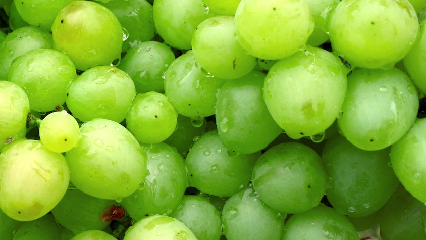 Zoom sur plusieurs raisins verts.
