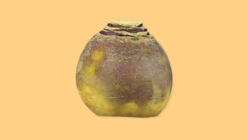 Un rutabaga sur un fond jaune.