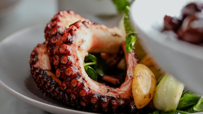 Des morceaux de pieuvre grillée et noircie. 
