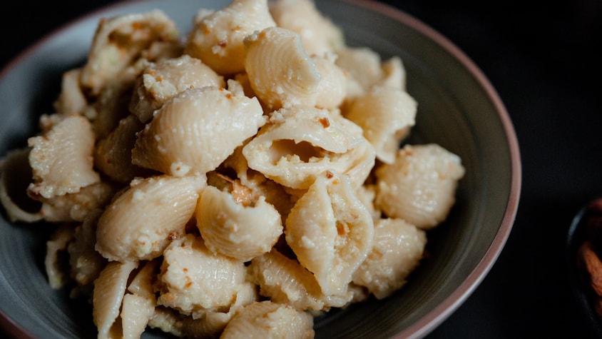 Une salade de pâtes coquilles dans un bol.