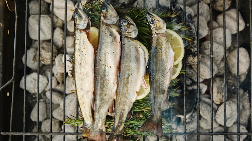 Sur un grille de barbecue, est déposé quelques branches de romarin et sur ces branches, quatre truites y sont déposés une à côté de l'autre.