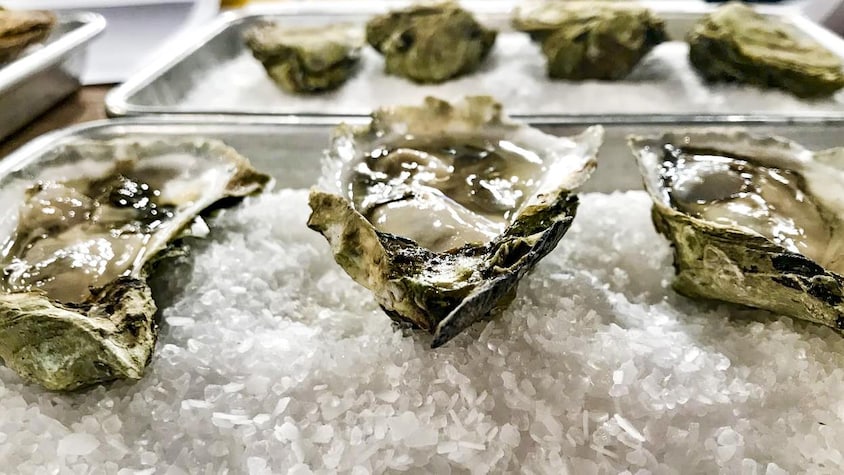 Trois huîtres disposées sur de la glace.