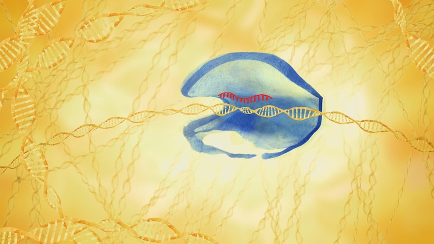 Radio-Canada Crispr la révolution génétique
