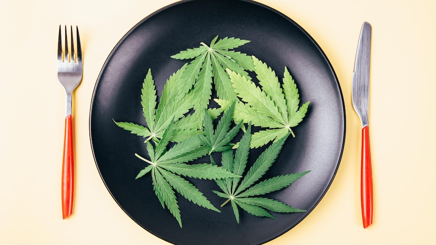 Une assiette contient des feuilles de cannabis. 