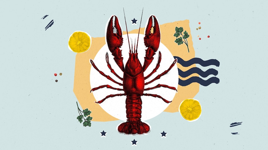 Illustration d'un homard placé dans une assiette avec un peu de persil et des tranches de citron. 