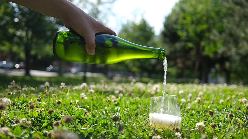 Une bouteille de cidre versé dans un verre dans un parc.