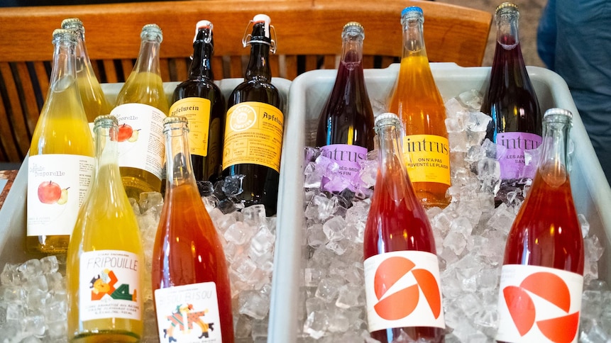 Des bouteilles de cidre québécois sur de la glace.