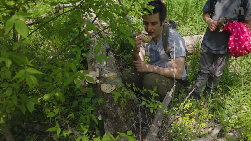 Jonathan Lapierre cueille un champignon sauvage en compagnie de son fils.
