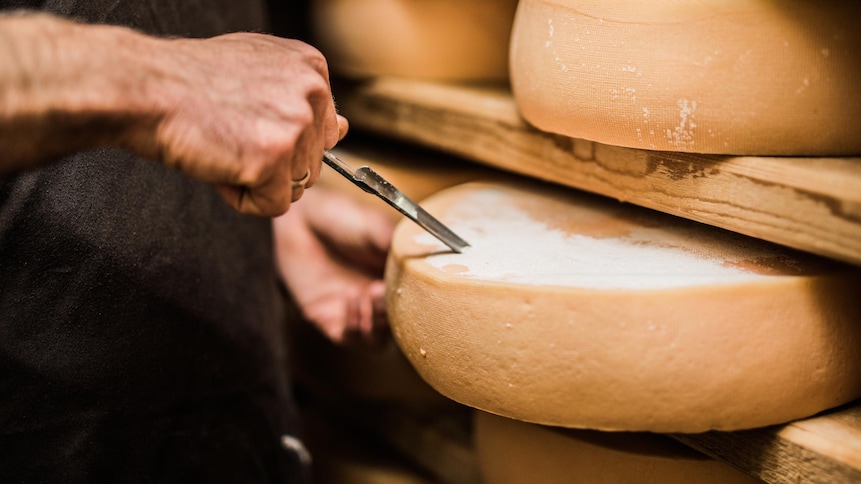 Gruyère français (œufs, fromages et produits laitiers)