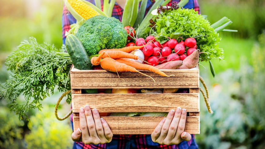 Une femme qui tient une caisse de légumes en bois, qui contient des carottes, du concombre, des radis, du brocoli, du maïs, des oignons verts et de la laitue.