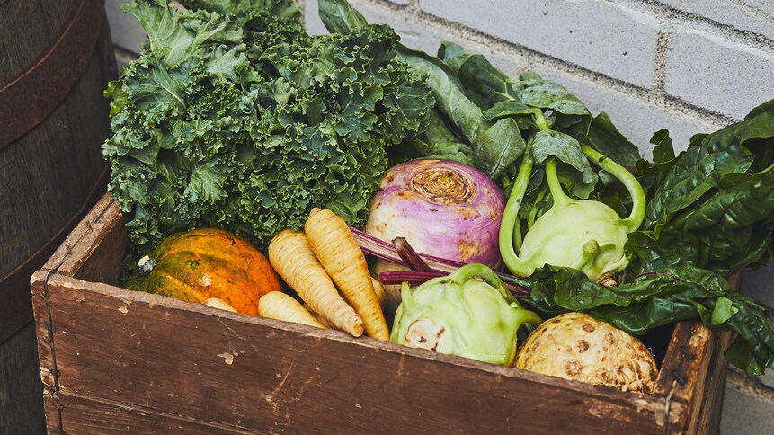 Une boîte en bois remplie de légumes, tels que des panais, du chou kale, du chou-rave et des bettes à carde.