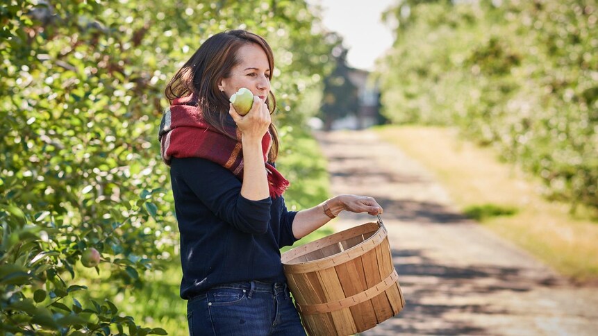 Geneviève est parmi les pommiers et elle tient dans sa main gauche un panier et dans sa main droite une pomme qu'elle est en train de manger.