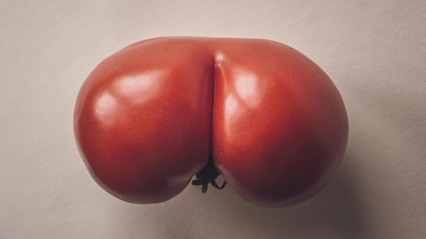 Une tomate qui rappelle des formes humaines.