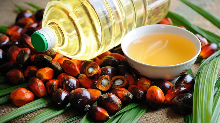 De l'huile de palme avec des fruits de palmiers.