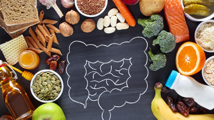 Une illustration d'intestin et des aliments, tels que des légumes, des fruits, du saumon, des pâtes et des graines.