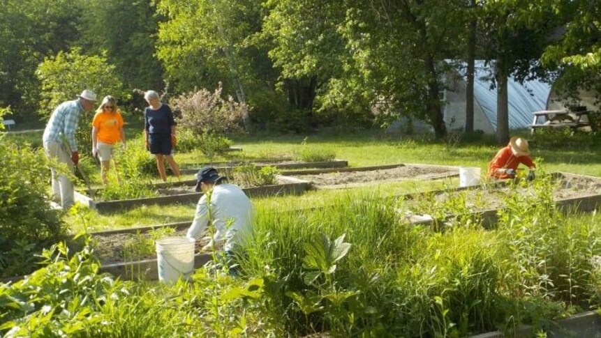 Plusieurs personnes se tiennent autour d'un endroit où ont été plantés des végétaux. Une personne en avant-plan est en train de planter quelque chose dans le sol.