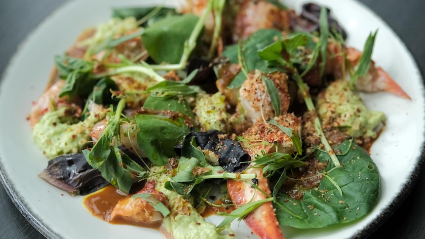 Une salade de homard avec des pousses vertes dans une assiette blanche. 
