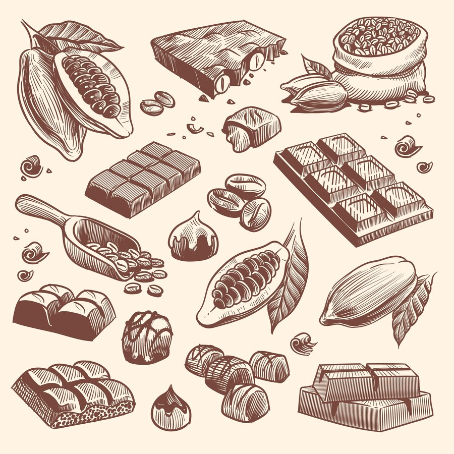 Illustrations de cacao et de chocolat.
