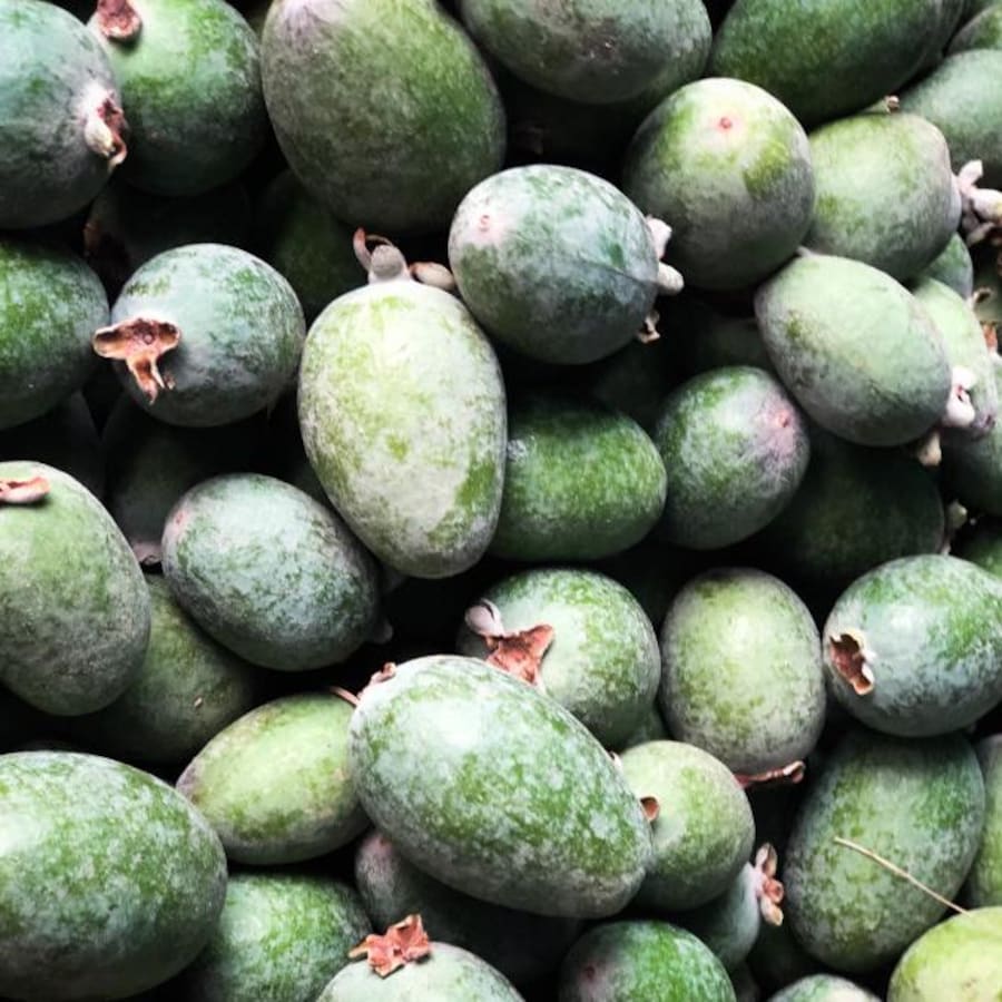 Des feijoas, fruits qui ressemblent à de petites mangues vertes.