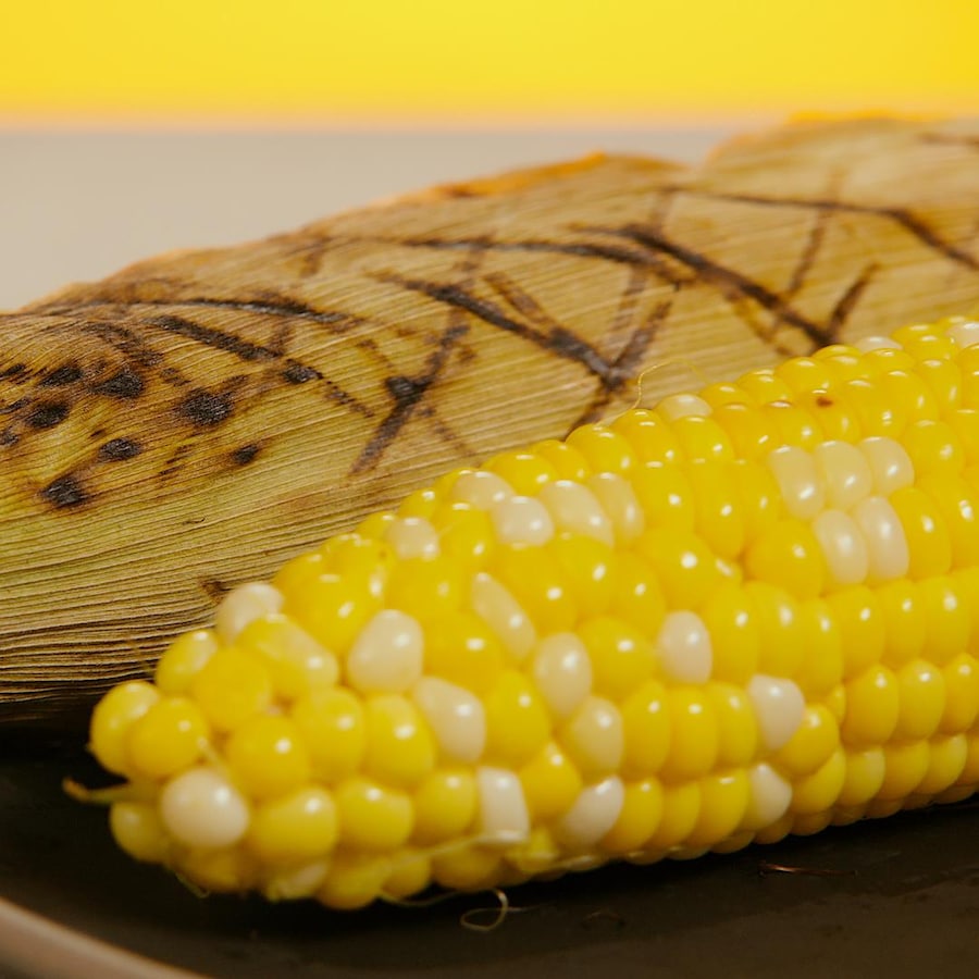 Un épi de maïs épluché et cuit, avec un maïs grillé dans son feuillage.