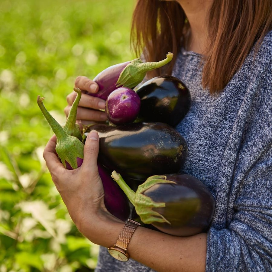 Femme qui tient dans ses mains plusieurs aubergines de différentes tailles.