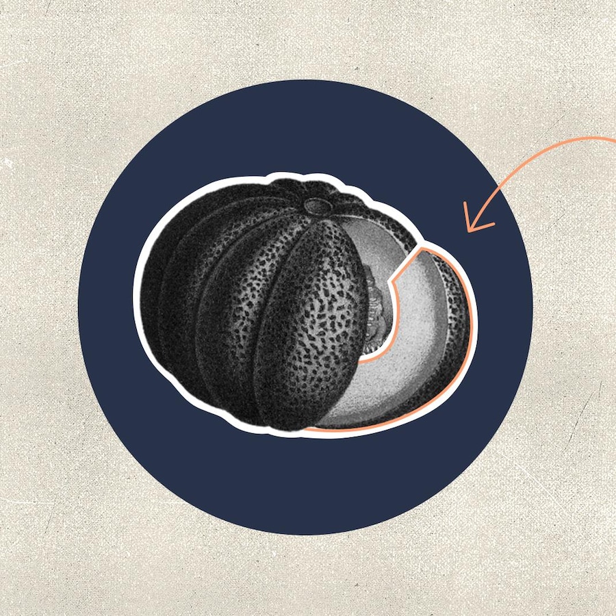 Un melon dans un cercle de couleur marine, ainsi qu'une découpe de François Pageau, réfléchissant, la tête soulevée et la main au menton.