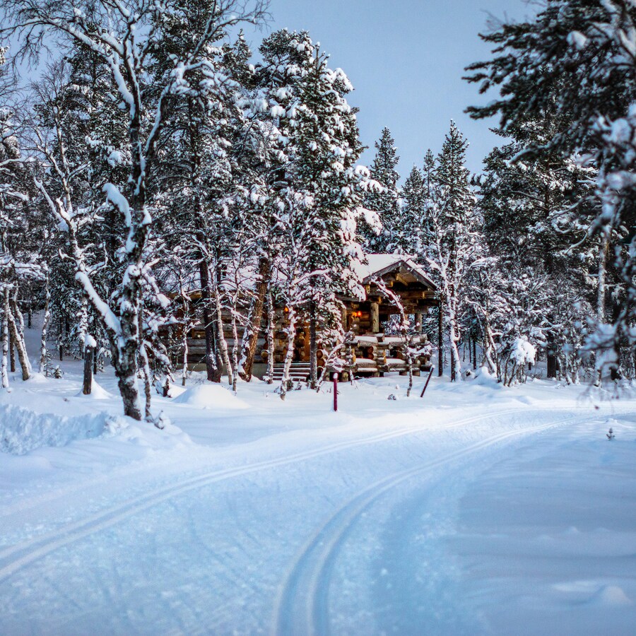 Un sentier en bois rond borde un sentier pour les adeptes de ski de fond.