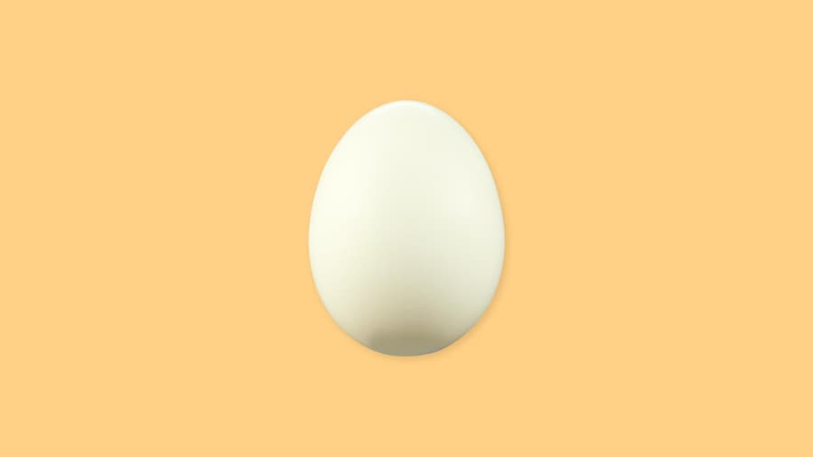 Un œuf avec sa coquille blanche.