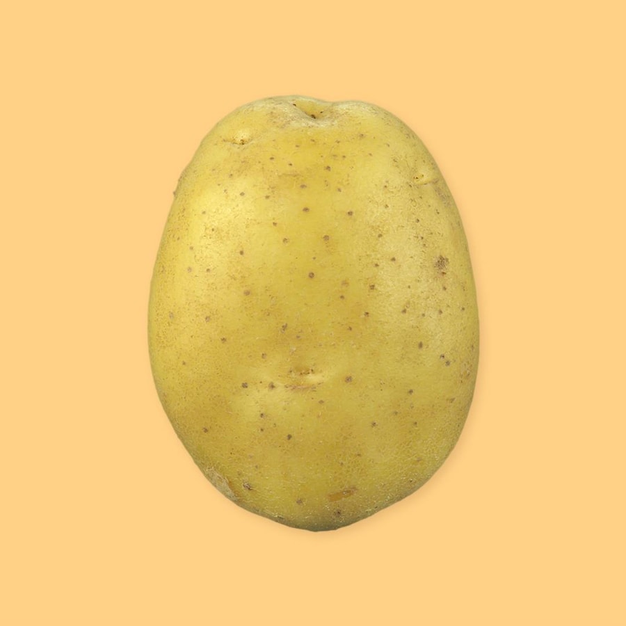 Une patate sur un fond jaune.