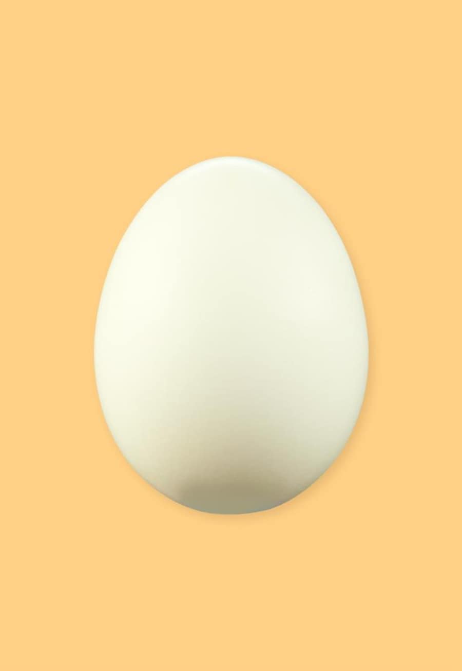 Un œuf sur un fond jaune.