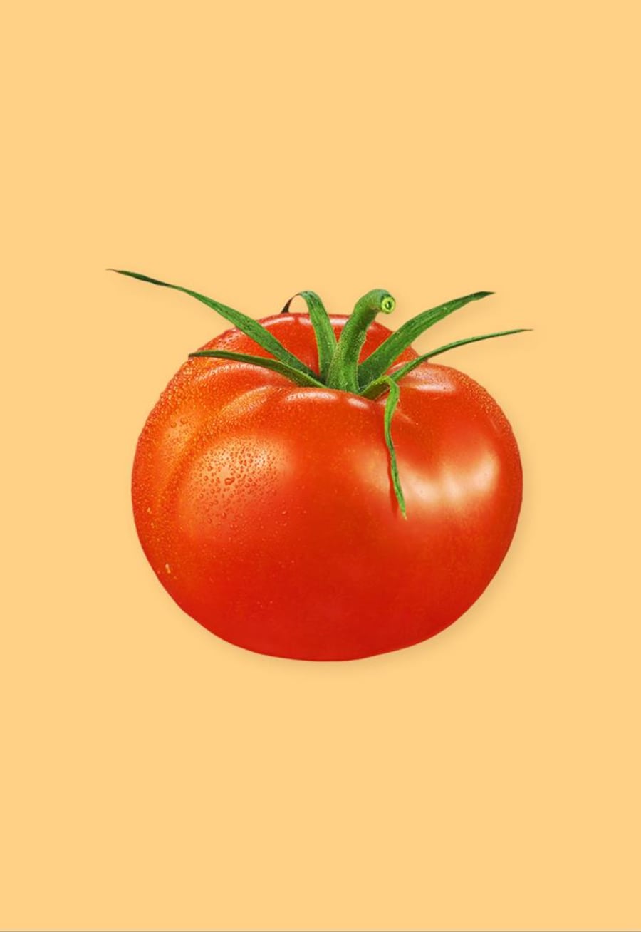 Une tomate sur un fond jaune.