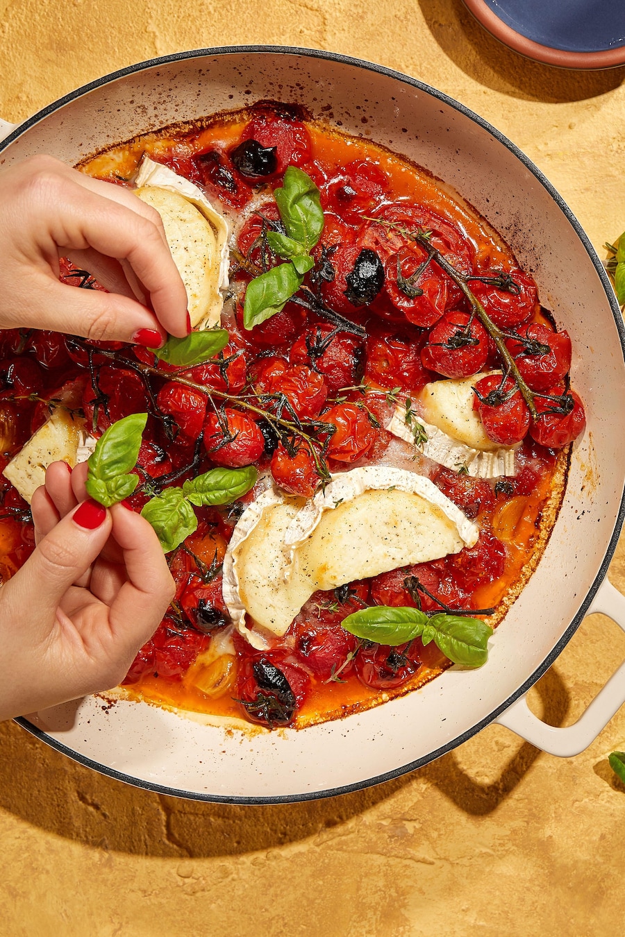 Un plat de tomates en grappe, de brie et de basilic.