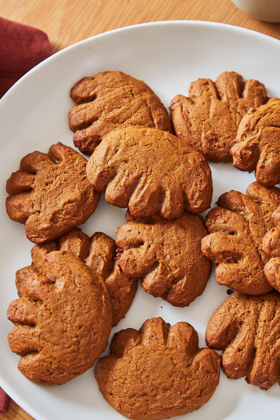 Sitemapcdatahttpsmobelinfbizidoreilles D Ours Recette
