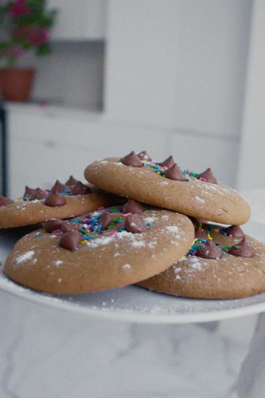 Quatre biscuits à la mélasse avec pépites de chocolat et bonbons dans une assiette blanche.