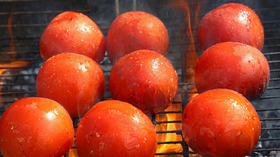 Des grosses tomates rouges cuisent sur une grille de barbecue au charbon.