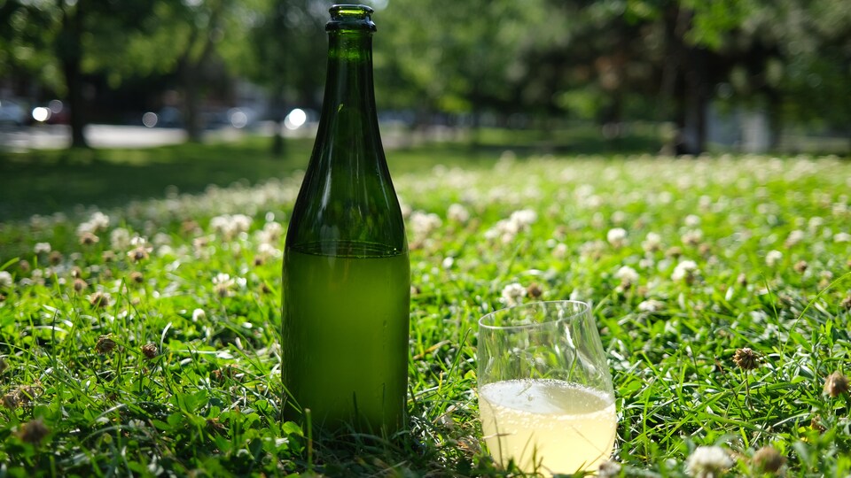 Quatre cidres pour la saison des pommes