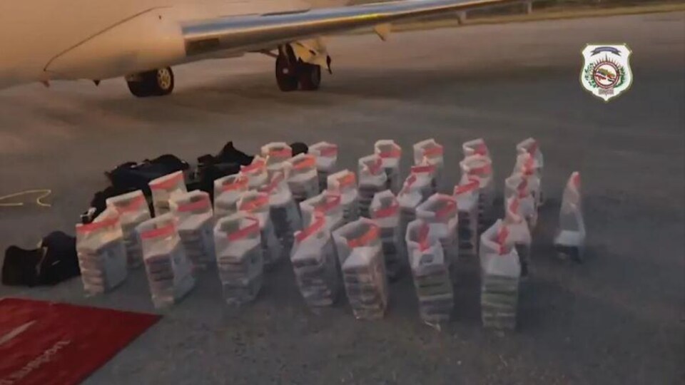 Plusieurs sacs en plastique sur la piste non loin d'un avion.