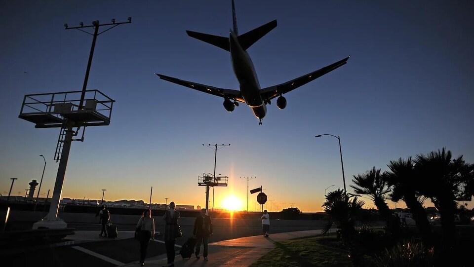 Un avion dans le coucher de soleil au-dessus d'un chemin bordé de palmiers.
