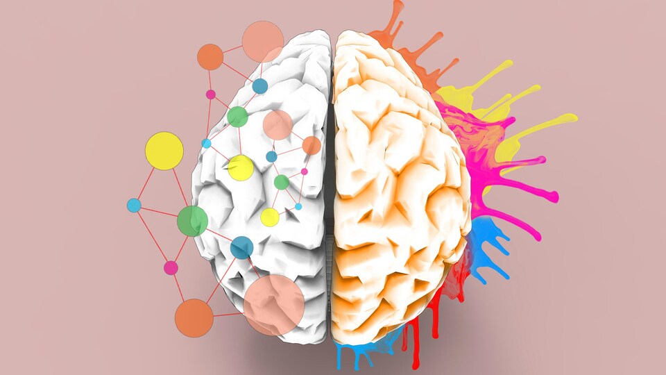 Illustration d'un cerveau dont hémisphère gauche représente le côté logique et l'hémisphère droit représente le côté créatif.