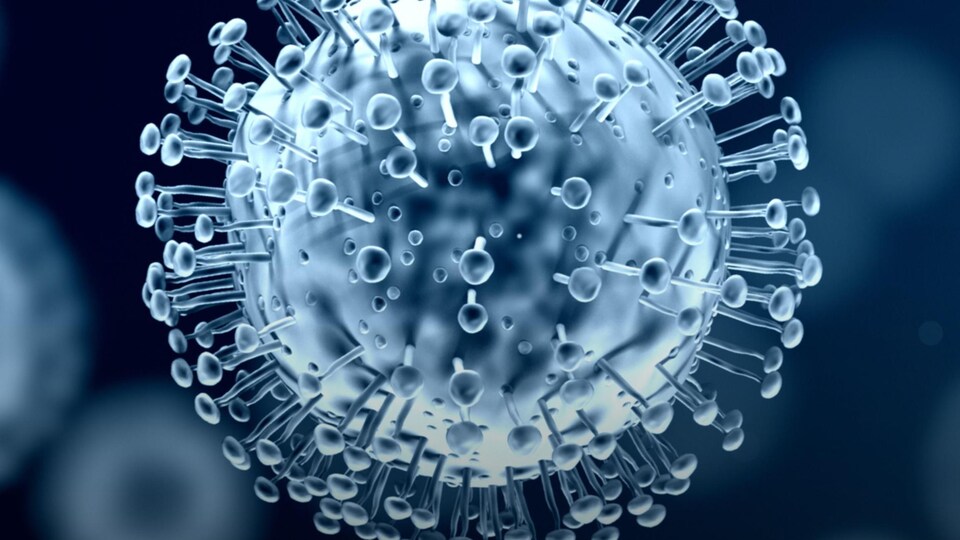 Une image du variant Omicron du coronavirus qui cause la COVID-19.