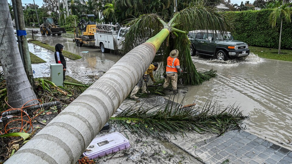 Des ouvriers procèdent au nettoyage des débris et des arbres tombés après le passage de l'ouragan Ian.