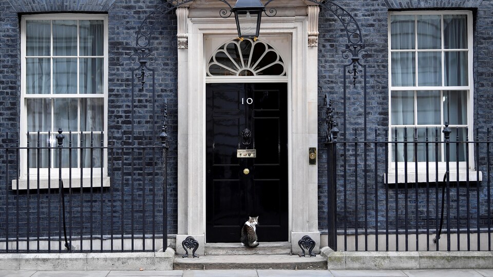 La porte portant le numéro 10, devant laquelle un chat est assis.