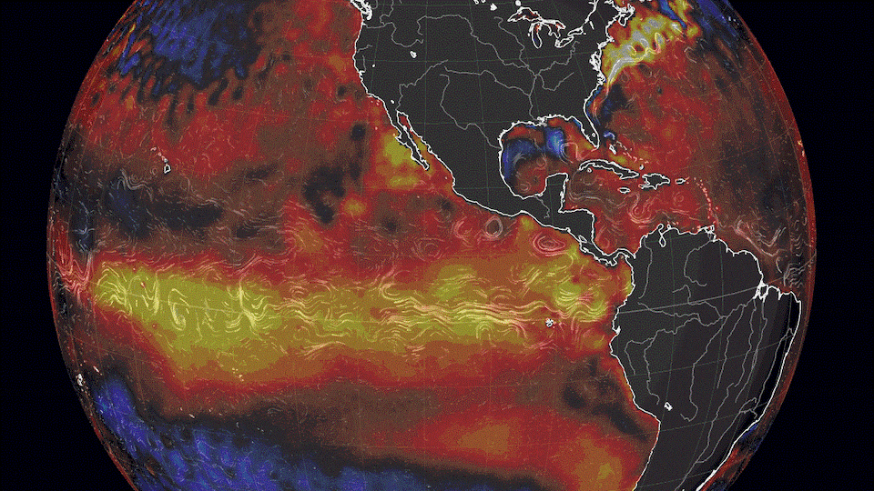 Une image animée de la Terre montre l'évolution du phénomène dans le Pacifique.