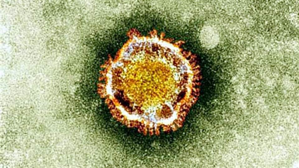 Un virus grossi sous un microscope.