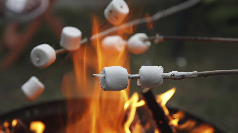 Des guimauves sont grillées autour d'un feu de camp.